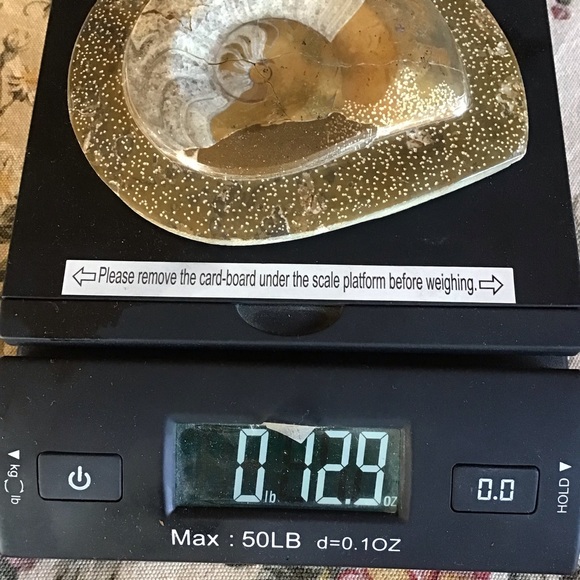 Ammonite Fossil Shell on Stone - Picture 3 of 3